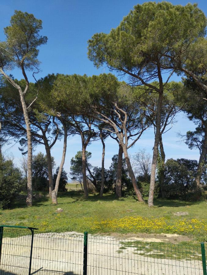 Appartement Meuble Et Tout Confort, Au Milieu De La Campagne Saint-Paul-Trois-Chateaux Bagian luar foto